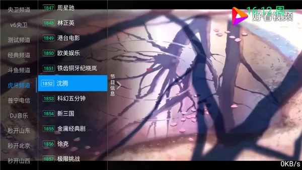 念想电视TV版