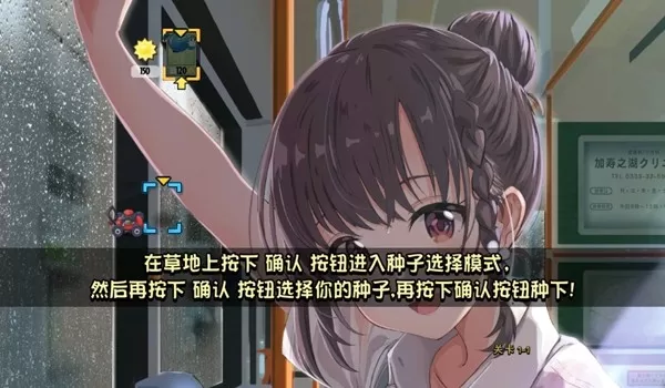 植物大战僵尸动漫版