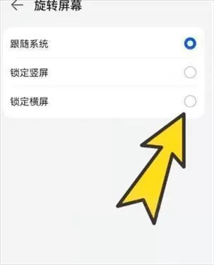 bobo浏览器黑色版本
