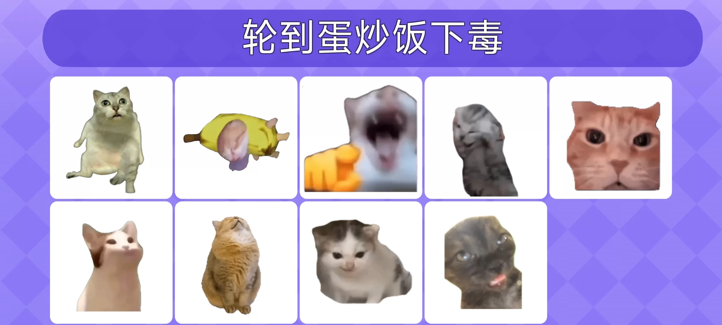 Meme的毒药