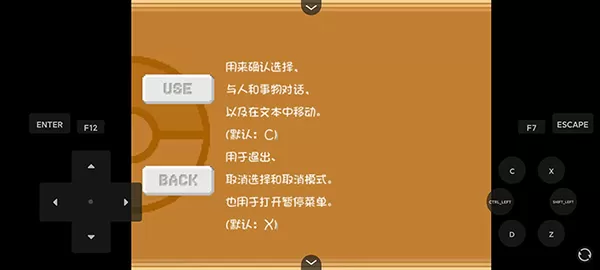 精灵宝可梦燃之智汉化版