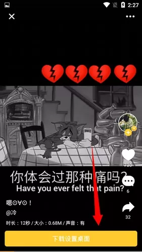 bi视频桌面软件