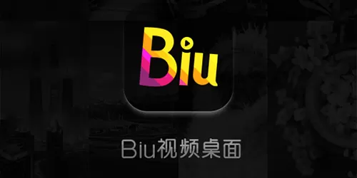 bi视频桌面软件