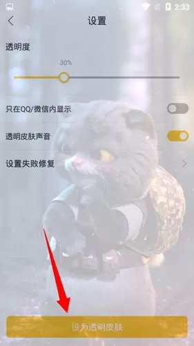 bi视频桌面软件
