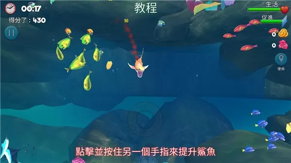 双头鲨