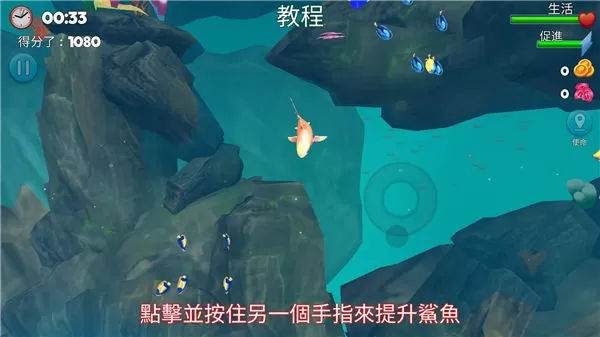 双头鲨