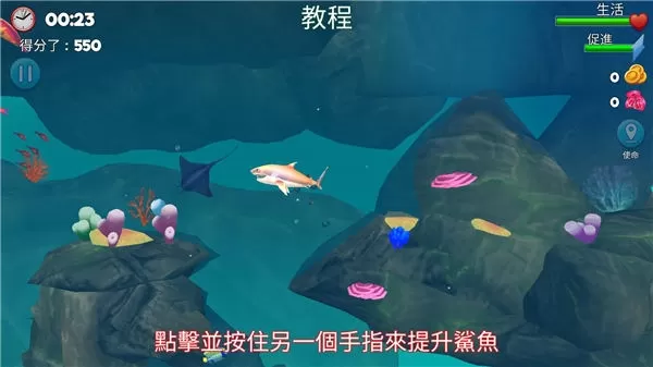 双头鲨
