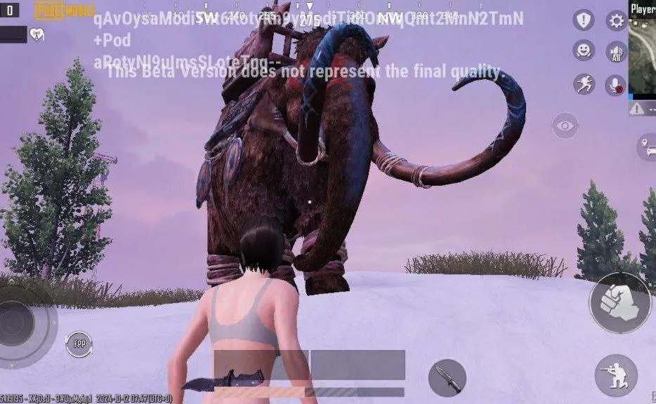 pubg体验服国际版
