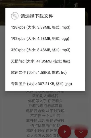 QMD播放器