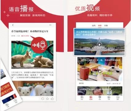 新时报