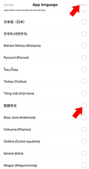 TikTok Lite抖音国际版