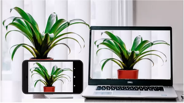 Iriun Webcam apk