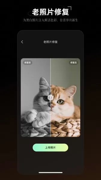 炫彩工坊手机版