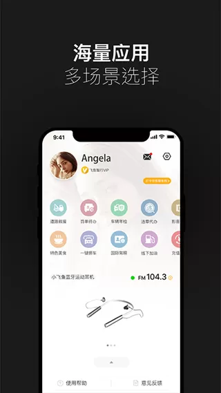 小飞鱼车载语音助手app