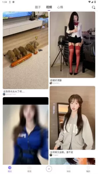 紫夫马