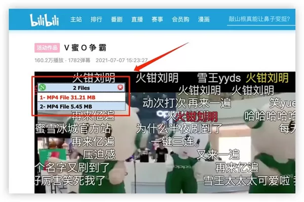 Neat Download Manager中文版