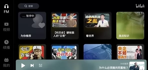 哔哩哔哩车载版