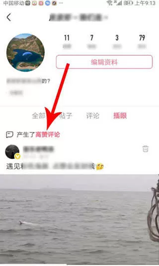 皮皮虾
