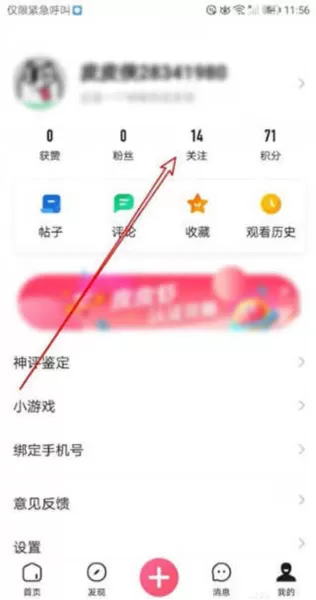 皮皮虾