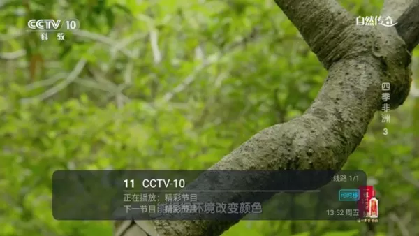 合家欢TV