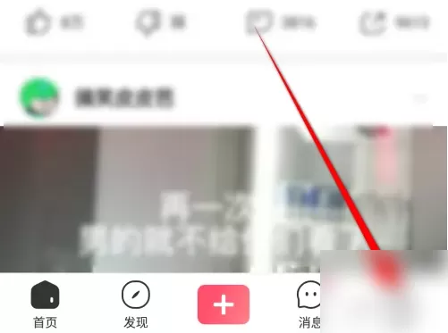 皮皮虾