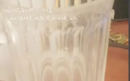 黄油相机老板本