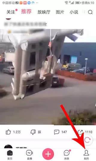 皮皮虾