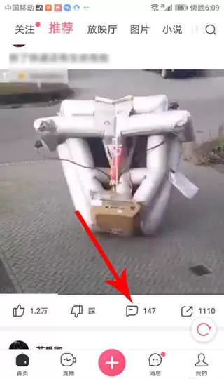 皮皮虾