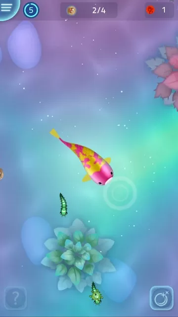 禅宗锦鲤专业版
