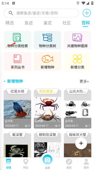 看鱼