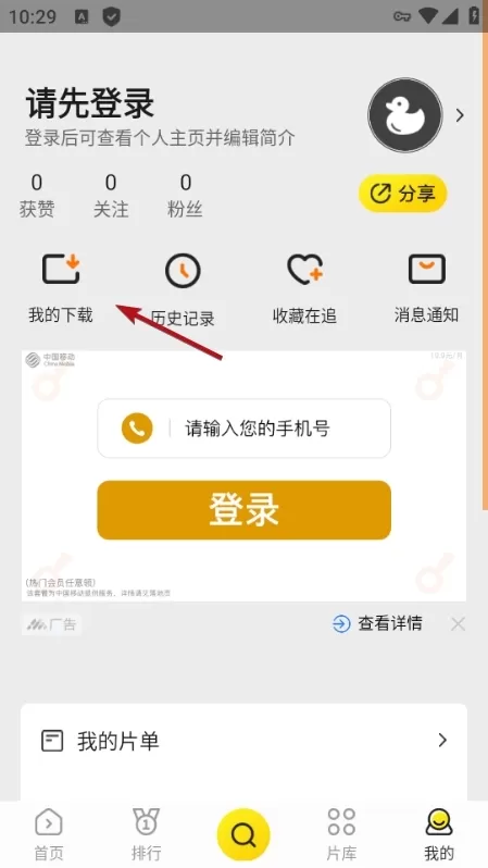 功夫视频