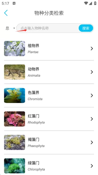 看鱼