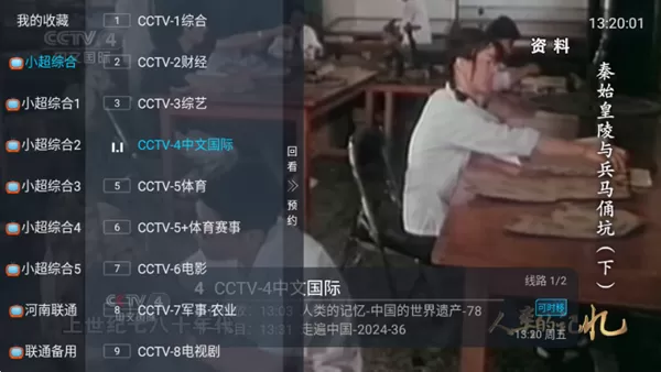 龙哥TV