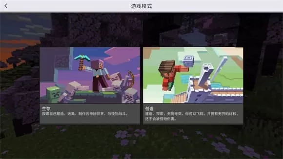 我的世界国际服1.21版