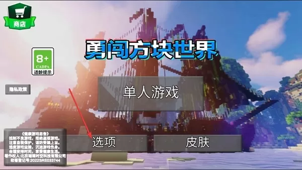 勇闯方块世界