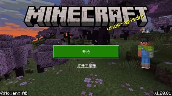 我的世界国际服1.21版
