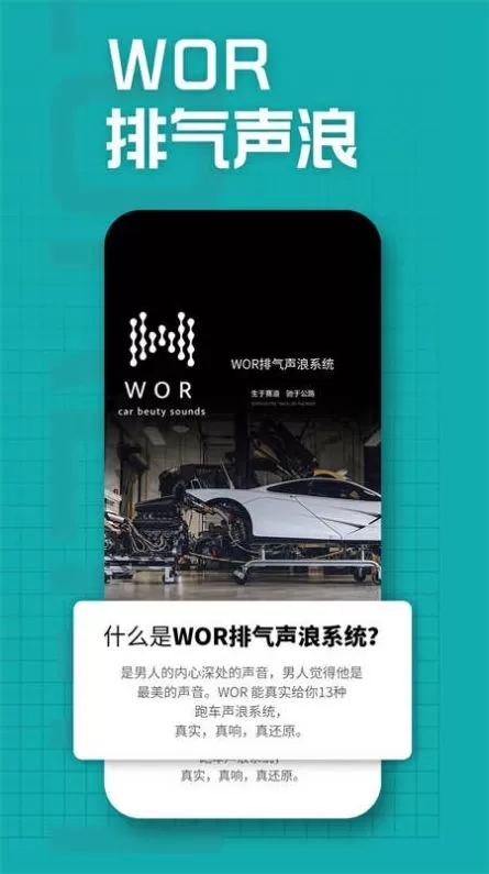 WOR声浪排气系统