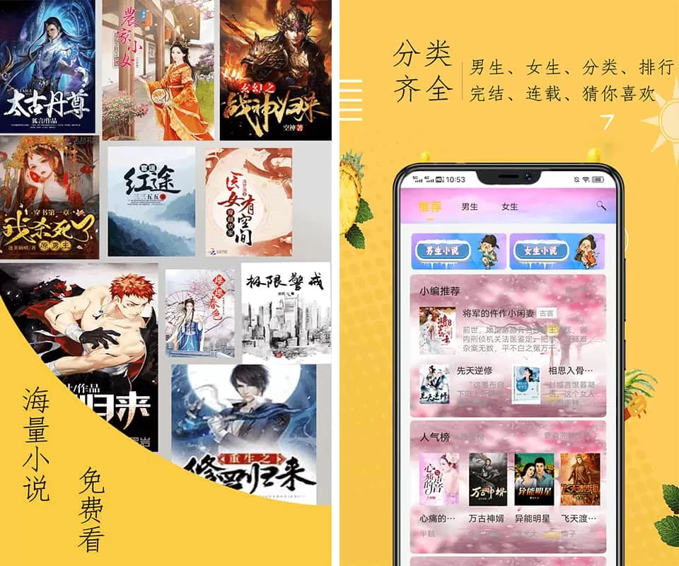 奇猫小说