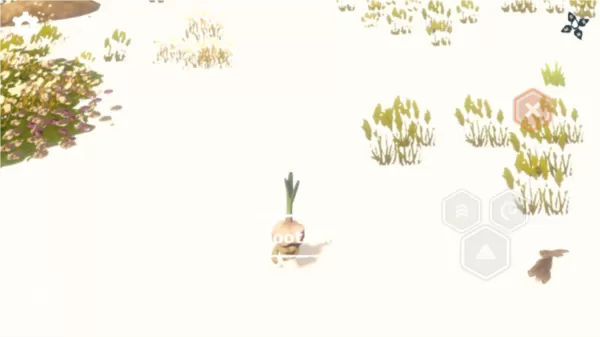梅多菲尔