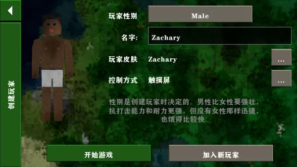 生存战争2.3联机版插件版