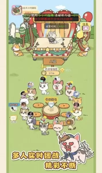 找下猫