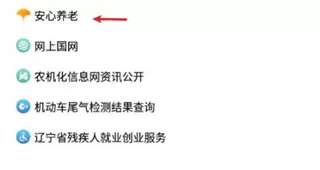 辽宁政务服务网app
