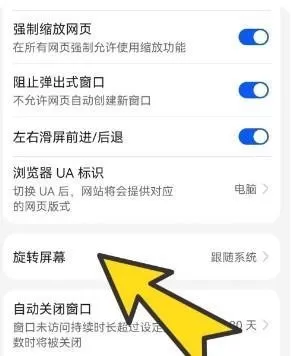 波波浏览器蓝色版