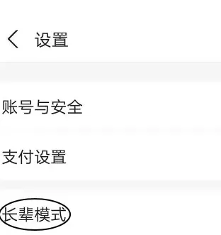 支付宝极速版app