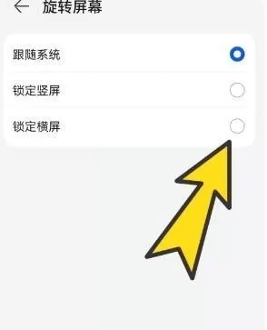 波波浏览器蓝色版