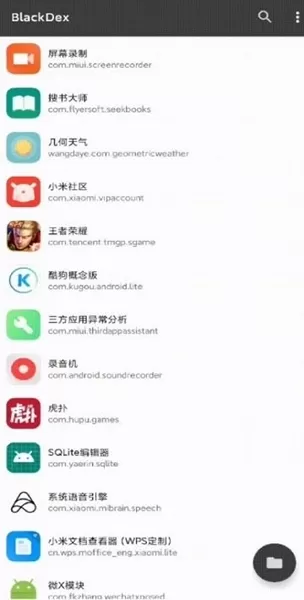 BlackDex32脱壳