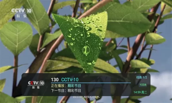 全球直播TV电视版