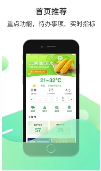 爱口袋2025