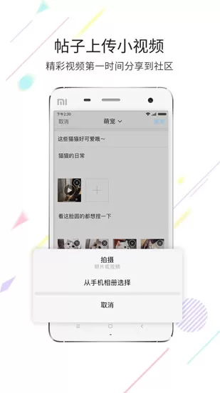 化龙巷论坛