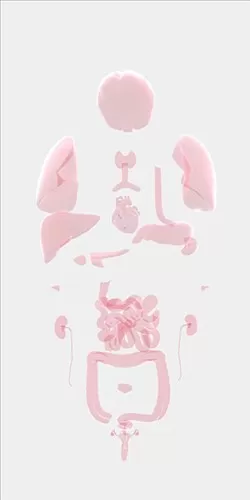 生命模拟器
